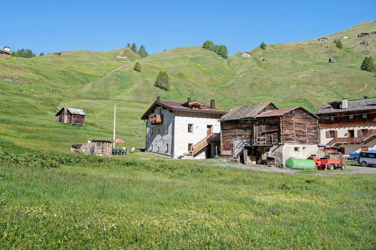 Appartamento Stefan Trepalle Livigno Dış mekan fotoğraf